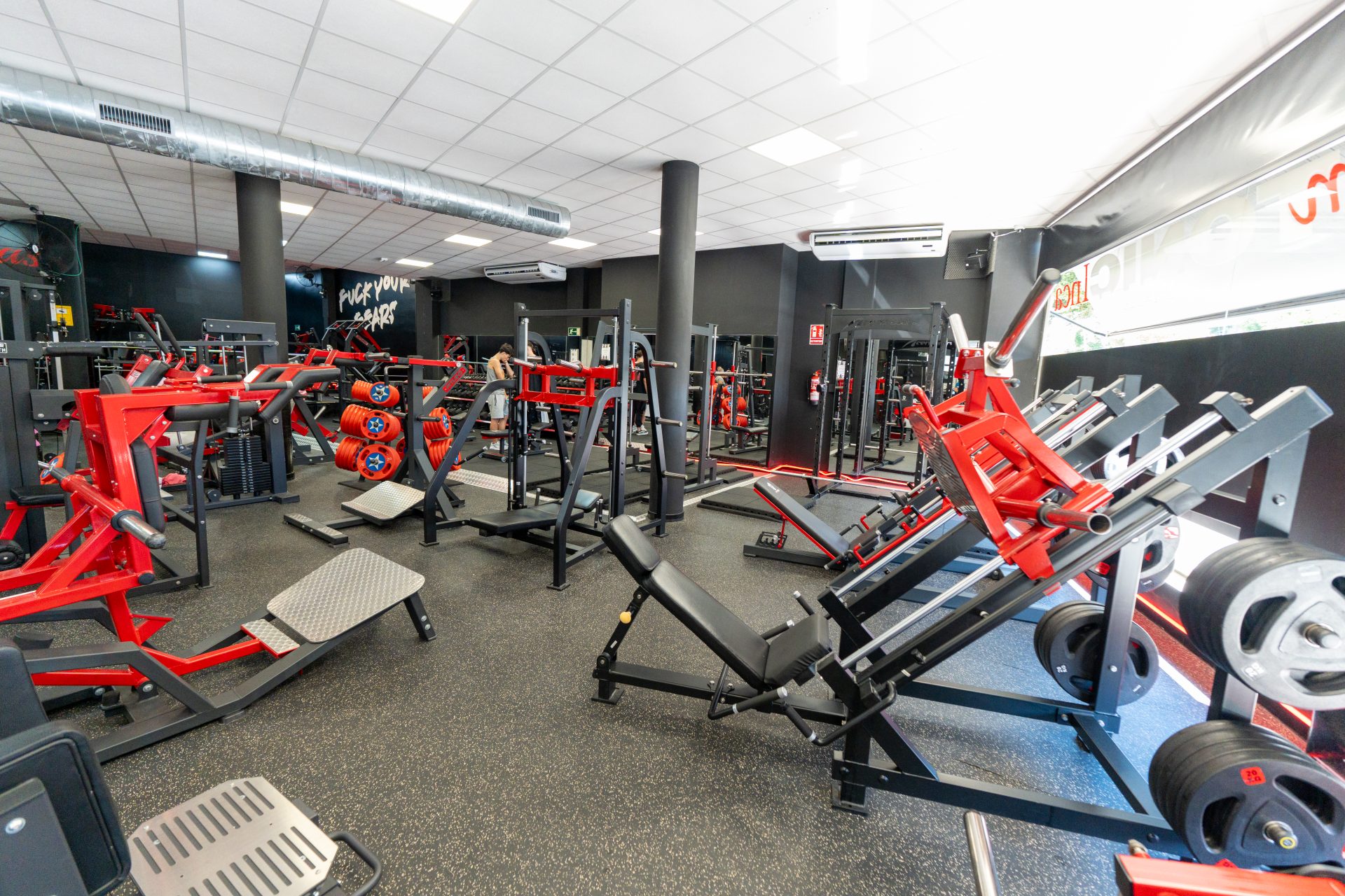 Gym Tonic — image 2