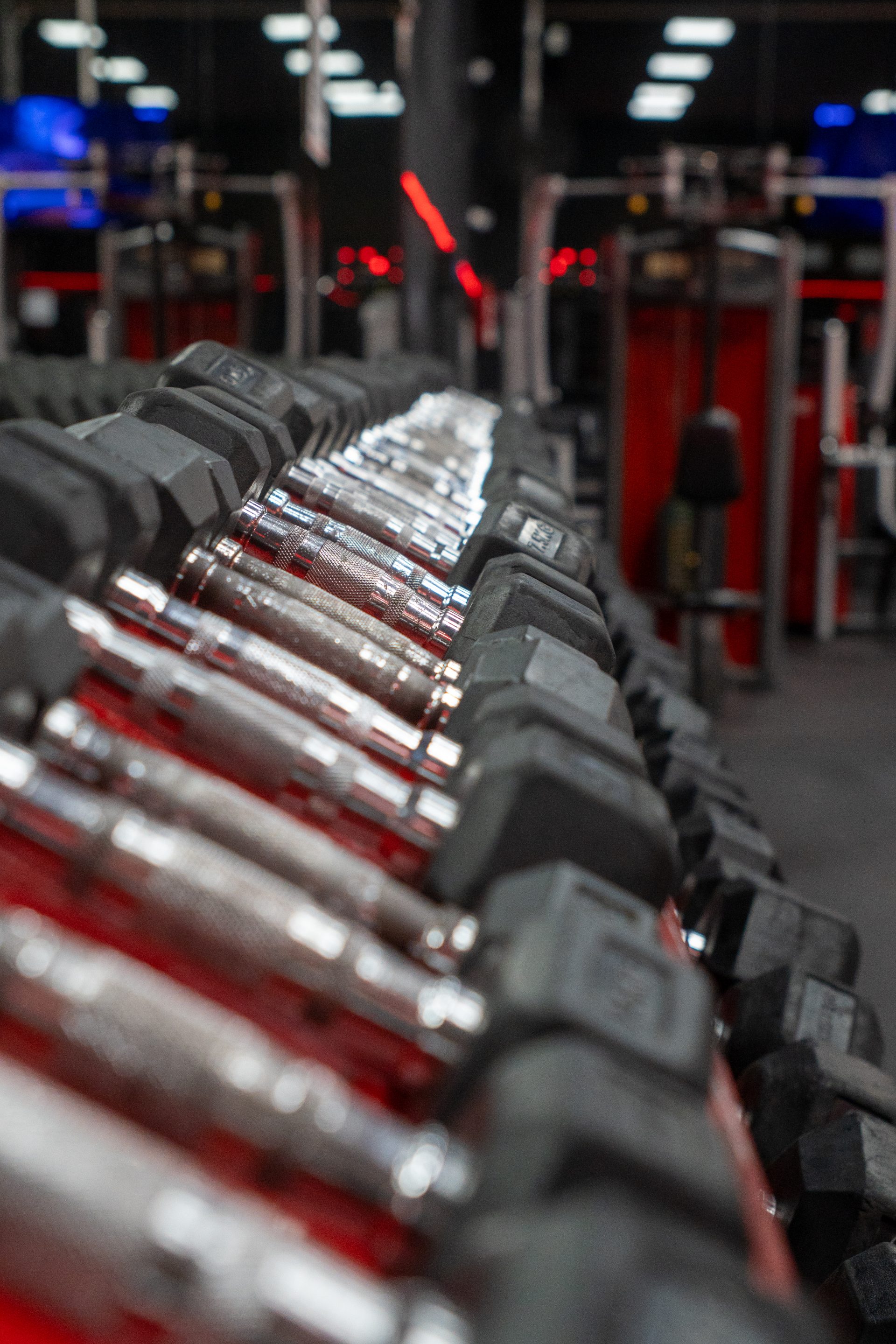 Gym Tonic — image 6