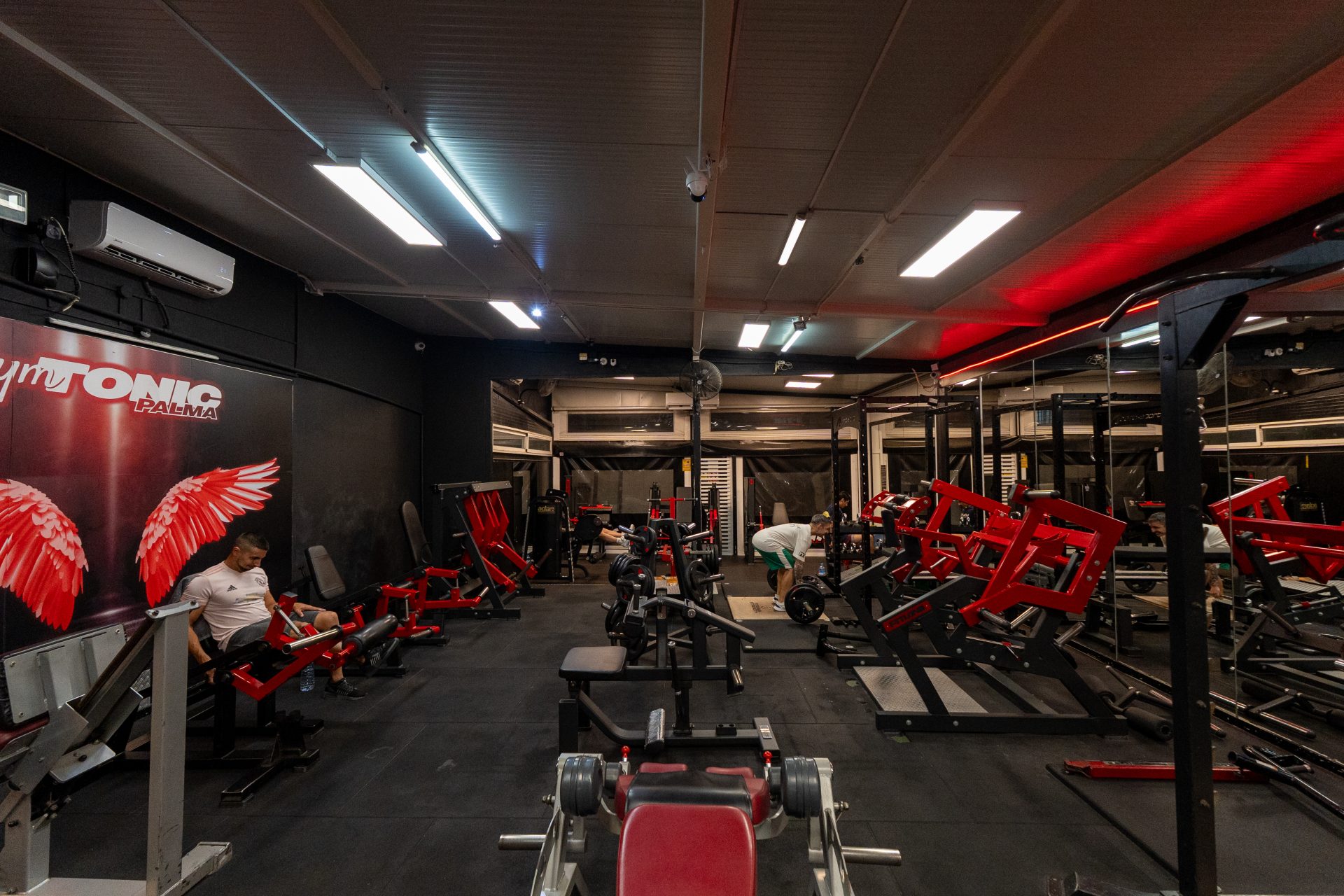 Gym Tonic — image 5